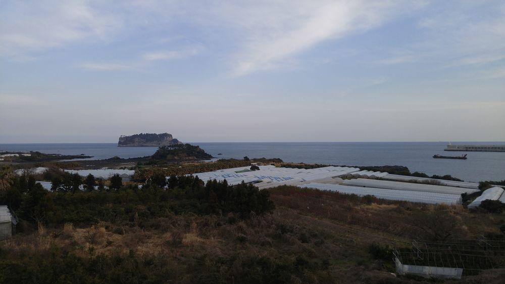 Olleyo Resort Seogwipo Zewnętrze zdjęcie
