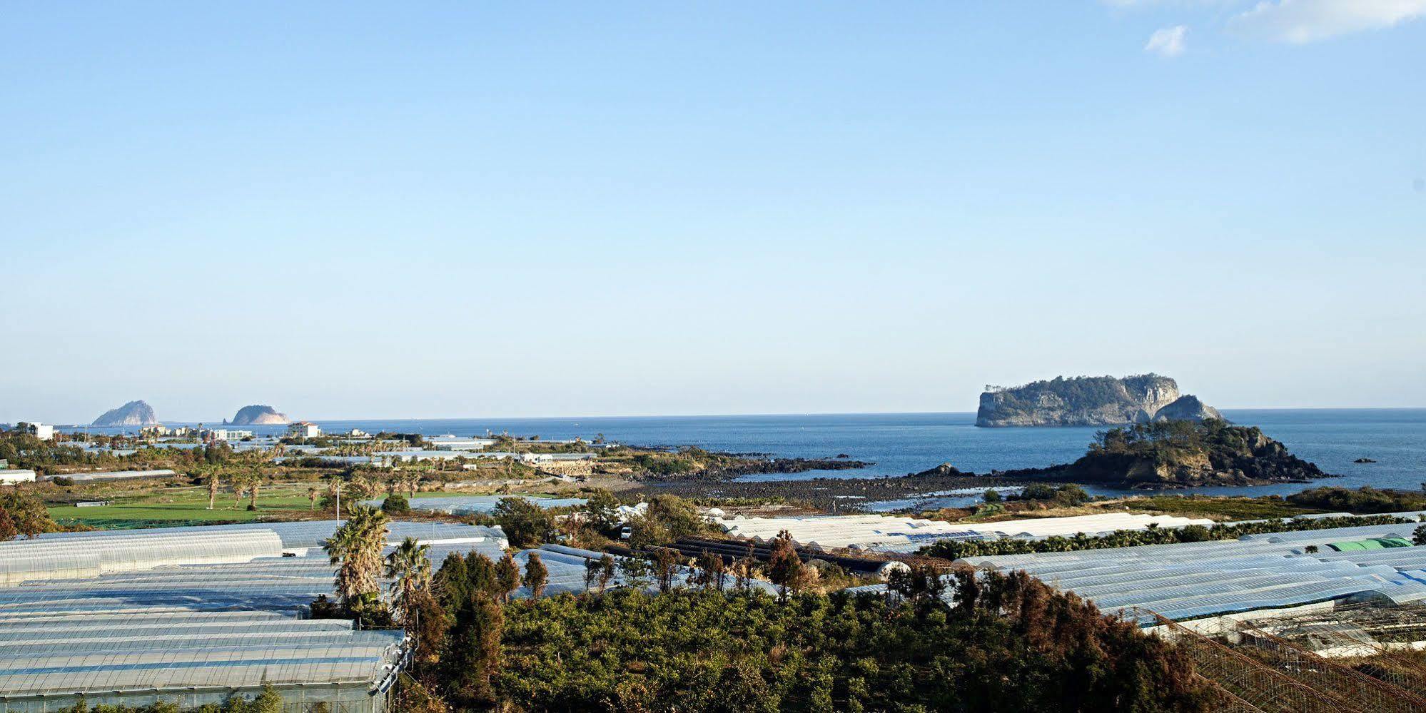 Olleyo Resort Seogwipo Zewnętrze zdjęcie